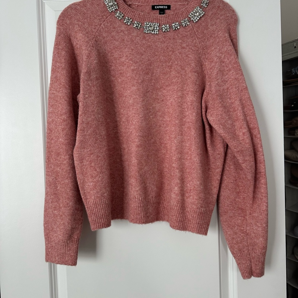 Express Pink Sweater with Embellished Neckline
